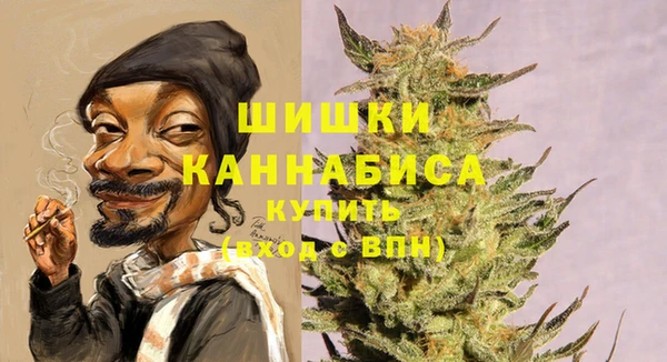 круглые Иннополис