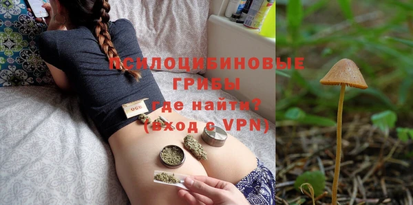 круглые Иннополис