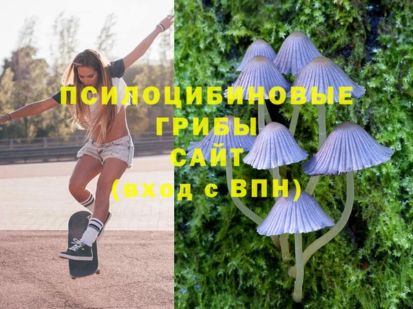 круглые Иннополис
