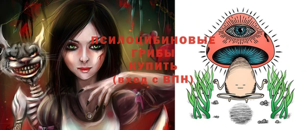 амф Инта