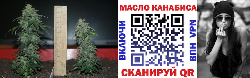 Купить где  Котовск  ТГК концентрат 